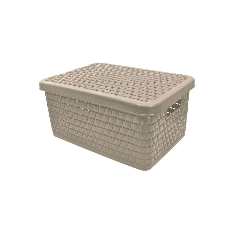 Canasto Organizador Ratan Chic Con Tapa Beige Grande-1