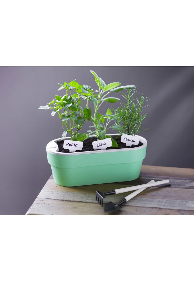 Macetero Huerta Auto Riego Verde Menta 1,75 Lt-3