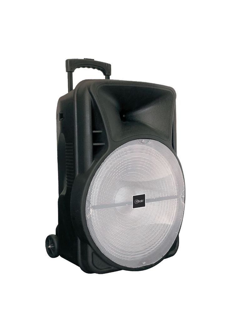 Pack Parlante Portatil 15" Havy Bass + Tripode + Proyector-1