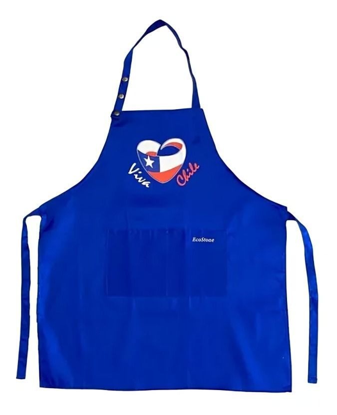 Pechera Viva Chile Impermeable-0