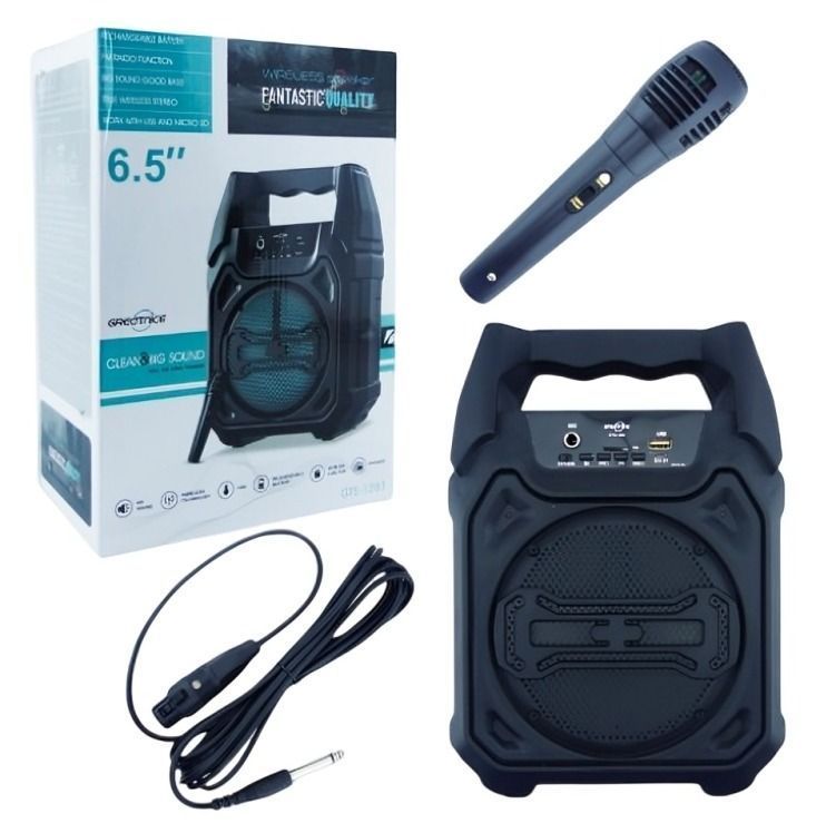 PARLANTE KARAOKE PORTABLE BLUETHOOTH  CON MICROFONO-2