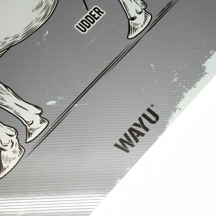 INDIVIDUAL PVC CORTES GREY WAYU-2