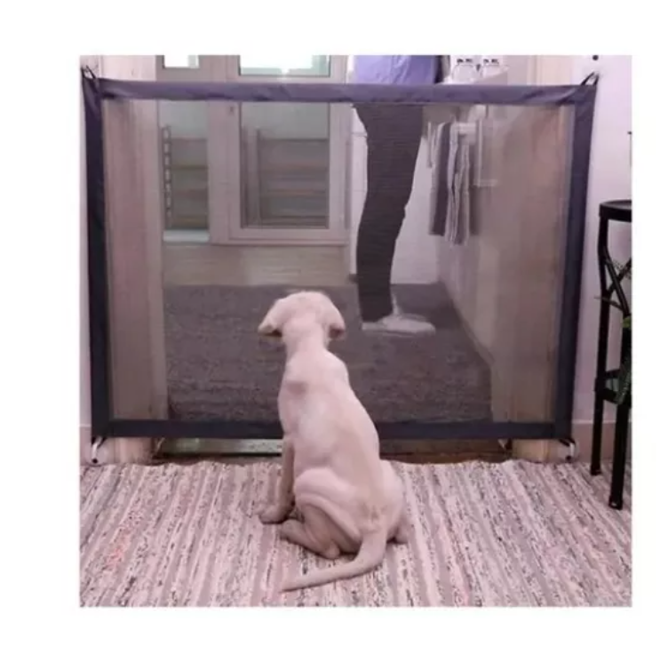 Puerta Magica Para Mascotas Seguridad-5