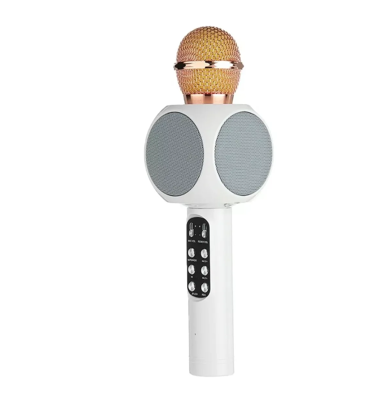 Microfono Inalambrico Karaoke Bocina Bluetooth Fm Radio Led-1