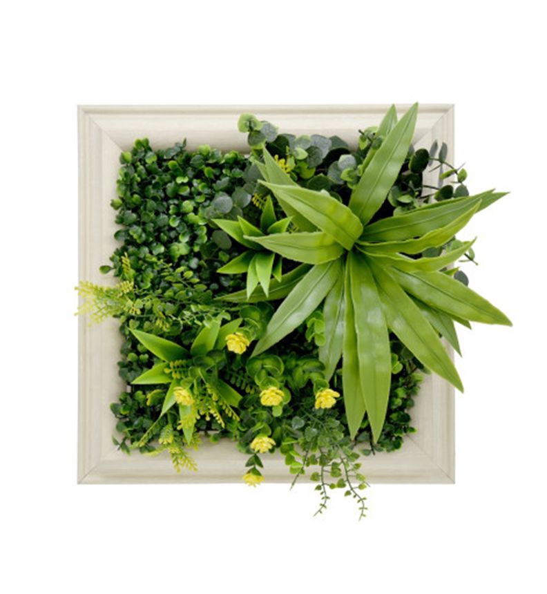 Jardin Vertical Cuadro Vertiente 30x30 cm Signet-0