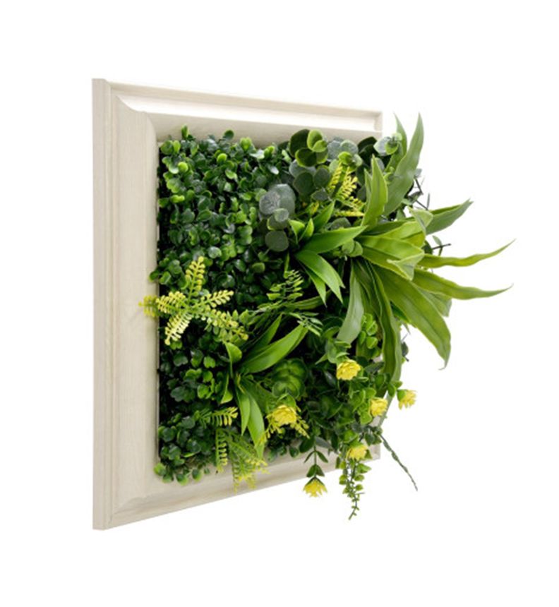 Jardin Vertical Cuadro Vertiente 30x30 cm Signet-2