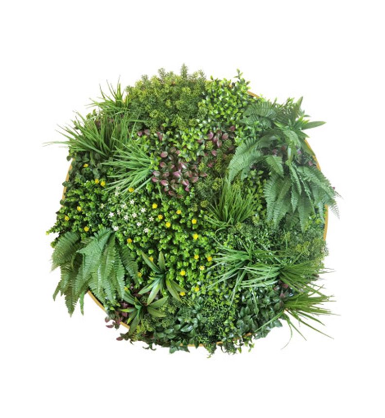 Jardin Vertical Cuadro Valhalla 100x100 cm Signet-0