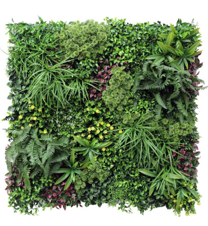 Jardin Vertical Papua 100x100 cm Signet-0