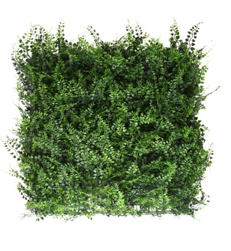 Jardin Vertical Helecho 50x50 cm Signet-0