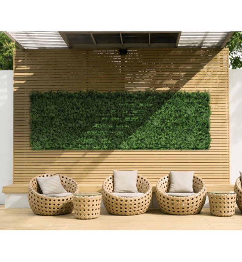 Jardin Vertical Helecho 50x50 cm Signet-2