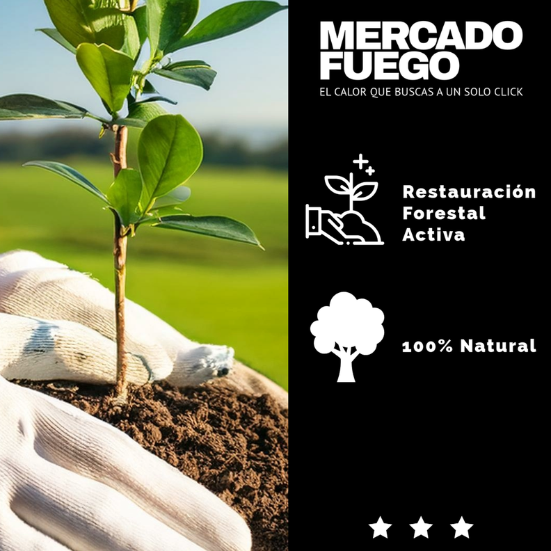 Carbón 100% Quebracho Blanco Premium Saco 15 Kg. Sin Chispa-4