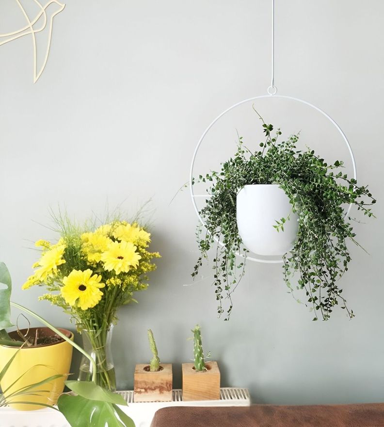 Maceta Colgante Decorativa Plantas Flores Blanca Jhn-6