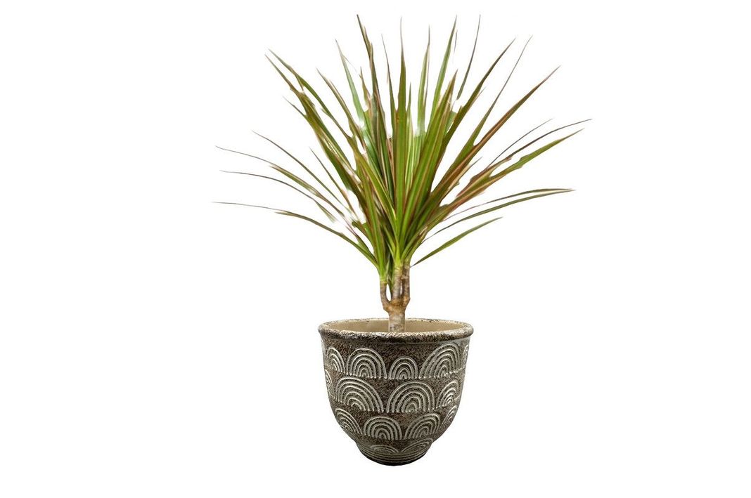 Maceta Hormigon Arcilla Plantas Jardin Cesped Adorno Lau-2