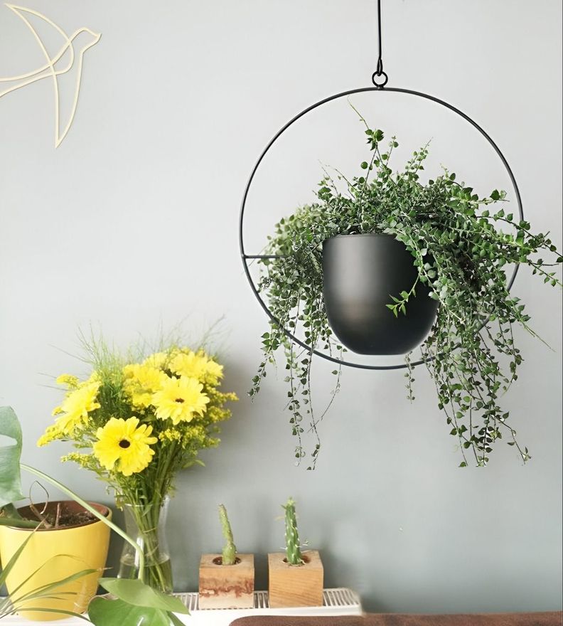 Maceta Colgante Plantas Flores Decorativa Negro Jhn-8