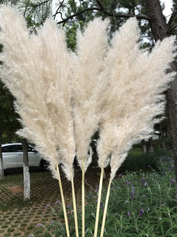 Set 2 Plantas Pampas Artificiales Esponjosa Deco Bohemia Lau-3