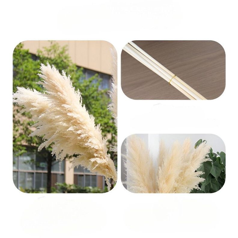 Set 2 Plantas Pampas Artificiales Esponjosa Deco Bohemia Lau-8