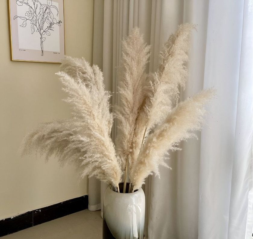 Set 2 Plantas Pampas Artificiales Esponjosa Deco Bohemia Lau-9