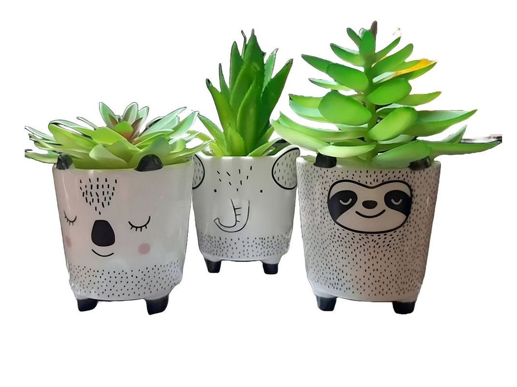 Set 2 Macetas Pequeñas Plantas Cactus Decoracion Hogar Lau-2