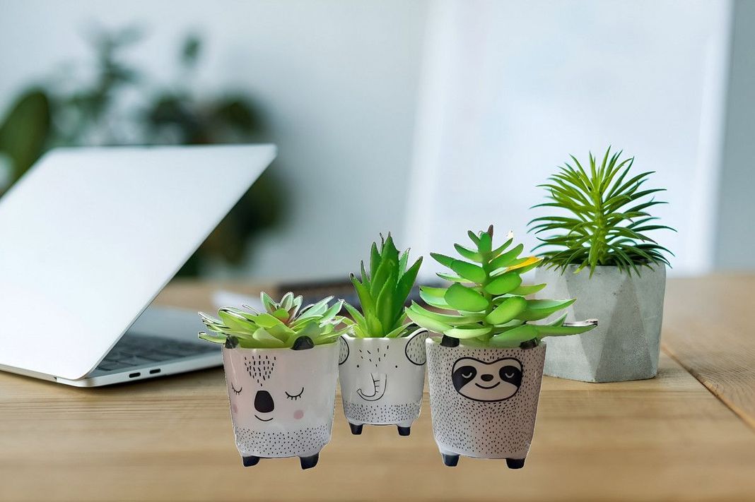 Set 2 Macetas Pequeñas Plantas Cactus Decoracion Hogar Lau-8