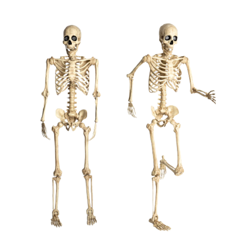 Esqueleto Articulado Con Ojos Led Animados 165cm Halloween-0