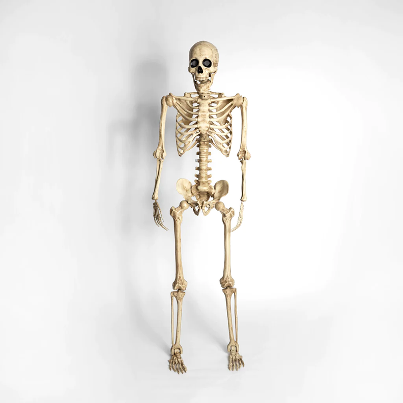 Esqueleto Articulado Con Ojos Led Animados 165cm Halloween-2