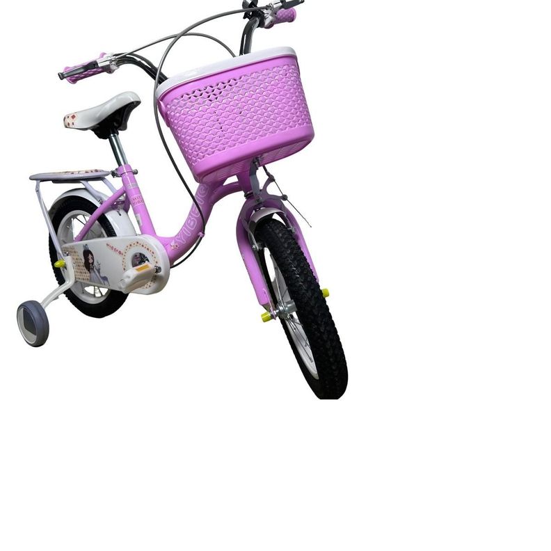 Bicicleta Para Niños Ruedas De Entrenamiento Aro 16 Todokcl T-00012-1
