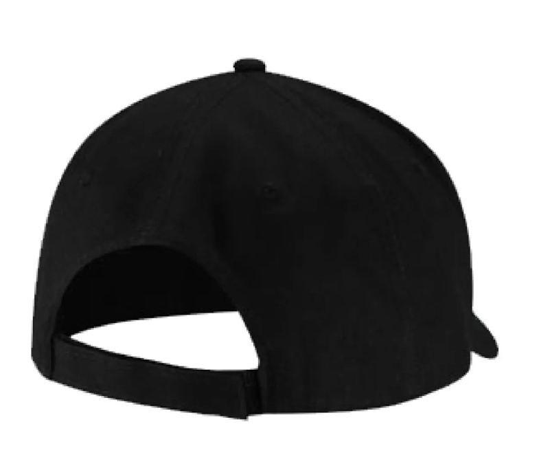 Gorro Gorra Jockey Thundercats-1