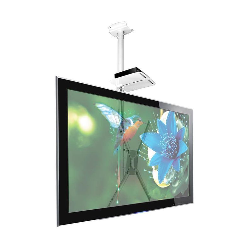 Soporte  TV de Techo 10" a 55" - 360° +  Sop. Deco  Bco-3