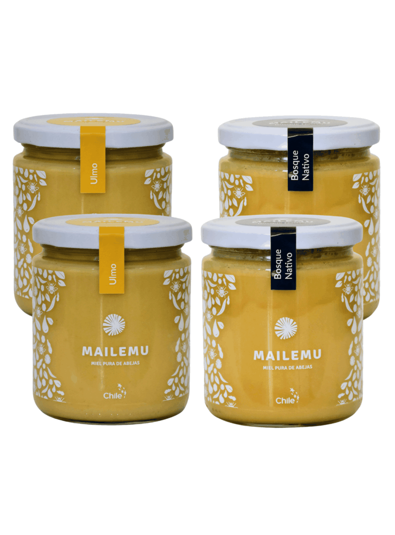 Pack Miel Pura: 2 Ulmo 2 Bosque Nativo 550gr-0