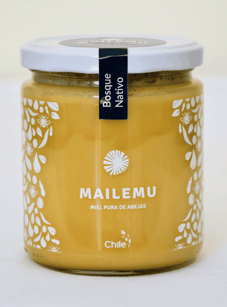 Pack Miel Pura: 2 Ulmo 2 Bosque Nativo 550gr-3