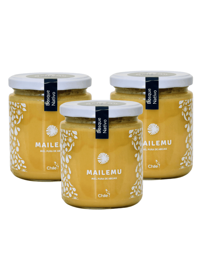 Pack 3 un. Miel Pura de Bosque Nativo 550gr-0