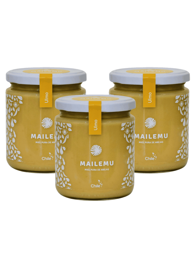 Pack 3 un. Miel Pura de Ulmo 550gr-0