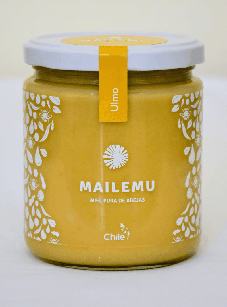 Pack 3 un. Miel Pura de Ulmo 550gr-1