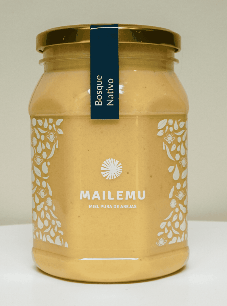 Miel Pura de Bosque Nativo 1kg-0