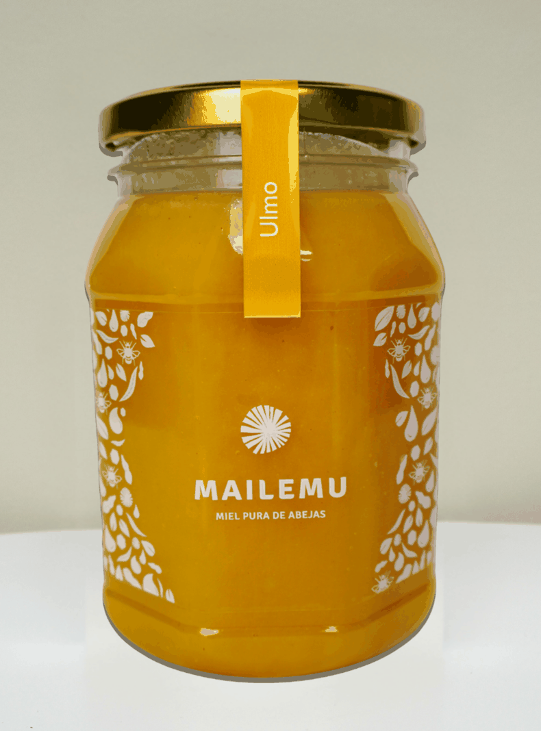 Miel Pura de Ulmo 1kg-0