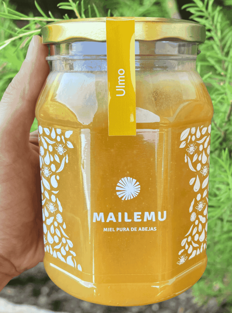 Miel Pura de Ulmo 1kg-1