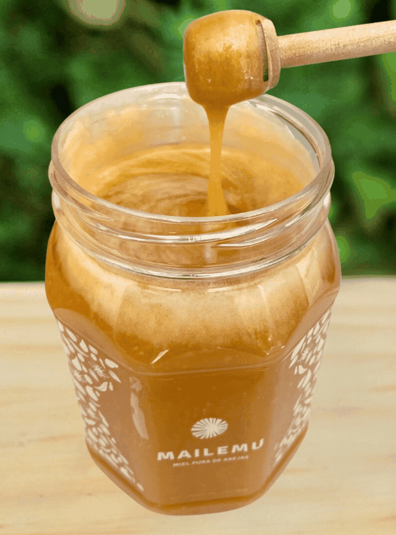 Miel Pura de Ulmo 1kg-2