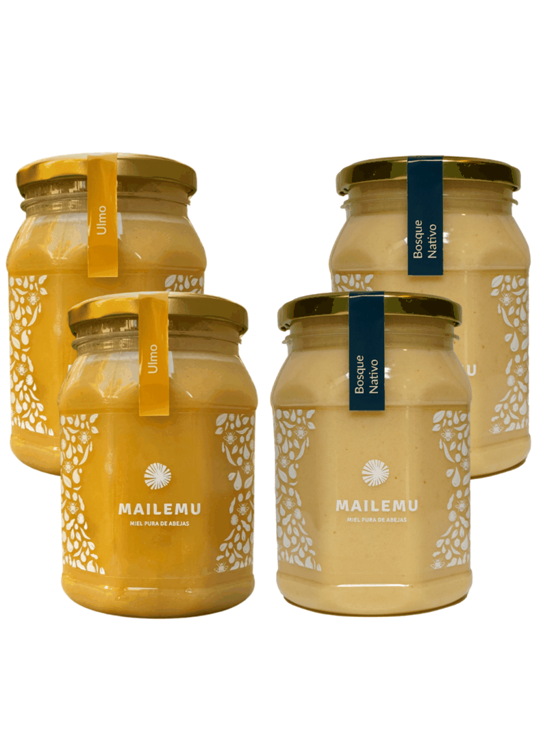 Pack Miel Pura: 2 Ulmo 2 Bosque Nativo 1kg-0