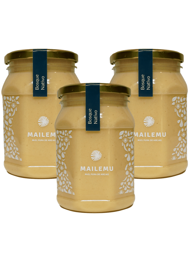 Pack 3 un. Miel Pura de Abejas Bosque Nativo 1kg-0