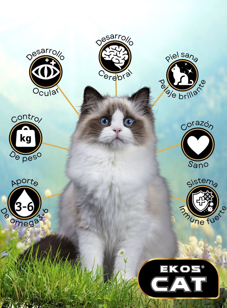 Alimento Ekos Cat 16kg-1
