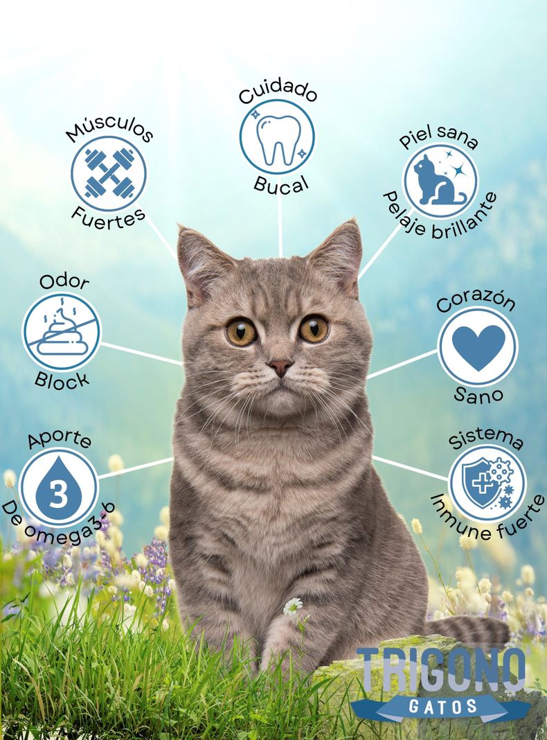 Alimento Trigono Gatos 10Kg-1