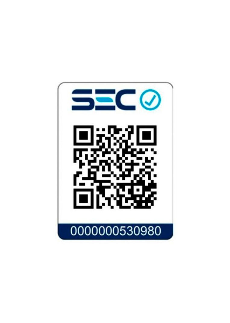 Secador de Pelo Multistyler 8 en 1 - M8-6