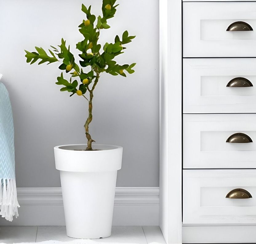 Árbol Limón Artificial Verde Decoración Moderna 120cm Jhn-2