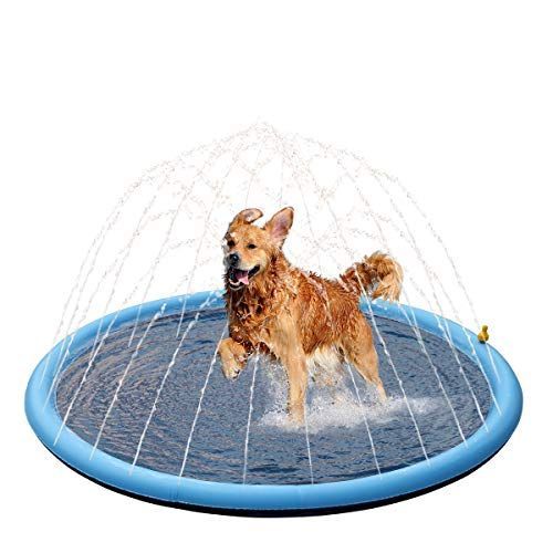 Juguetes Mascotas Perro Agua Patio Trasero Verano Rondon-0
