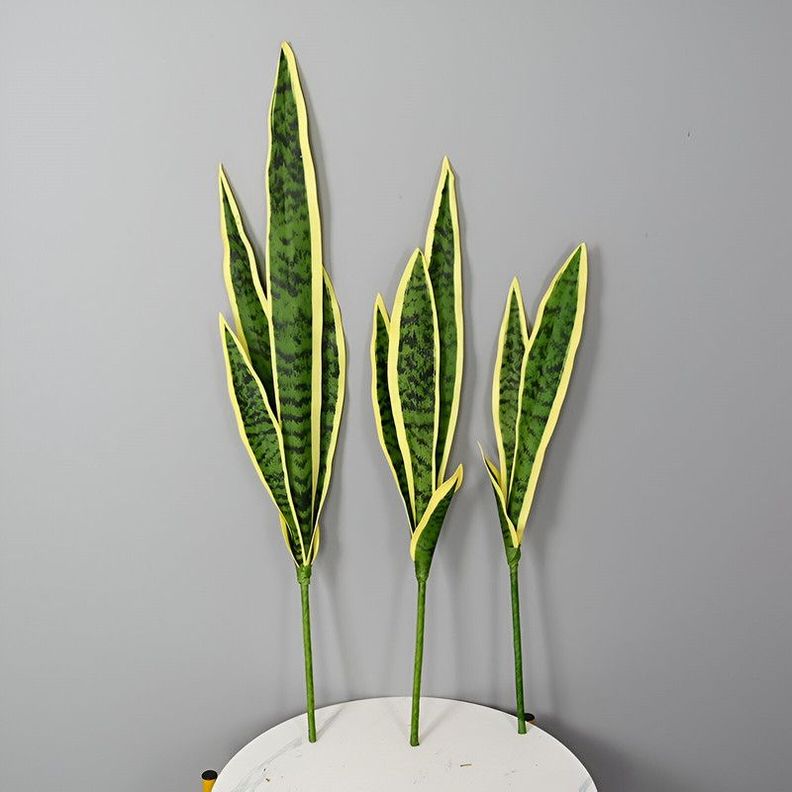 Set 2 Flor Planta Serpiente Hogar Jardin Tienda Realista Lau-7