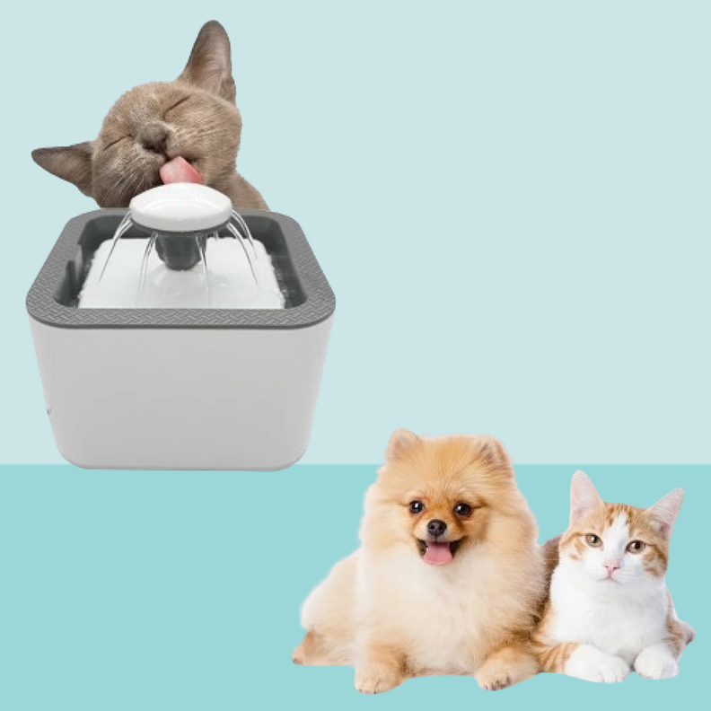 Bebedero Gatos Perros Usb Mascota Fuente Rondon-4