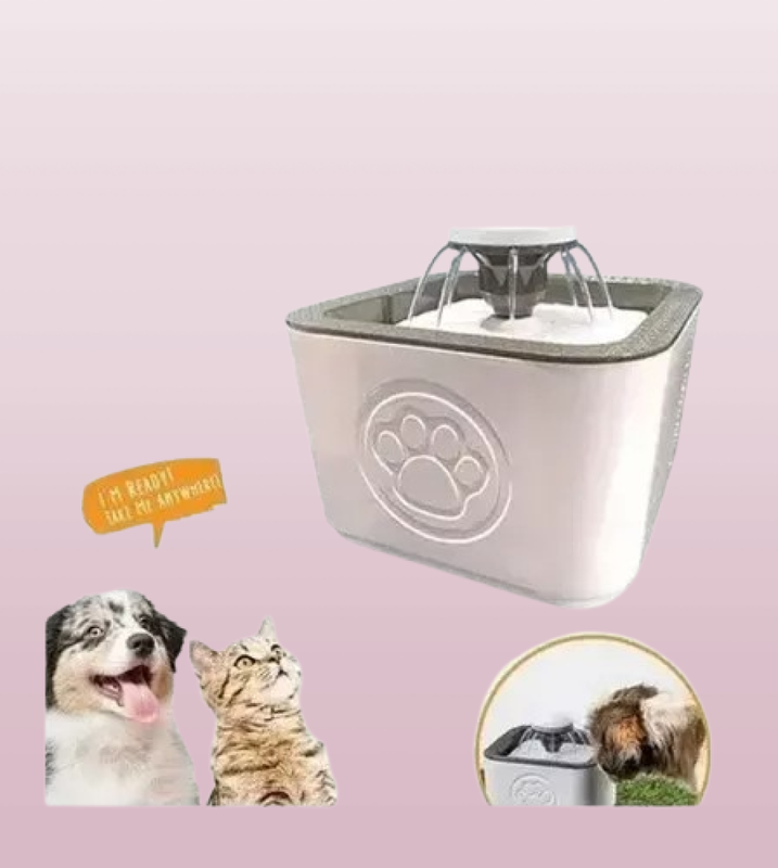 Bebedero Gatos Perros Usb Mascota Fuente Rondon-6