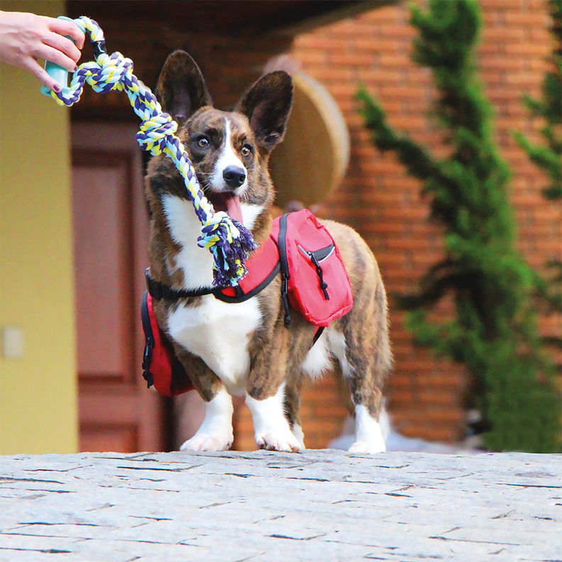 Juguete Para Perro Mimo Cuerda Tirador 45cm PP210-2