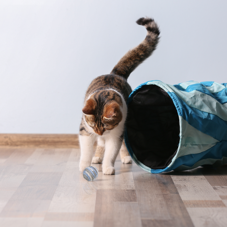 Juguete Para Gato Mimo 2 Pelotitas Fibra Nat PP125-2
