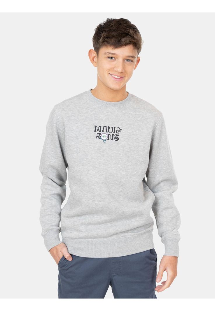 Poleron CR James Gris Infantil Maui and Sons-0